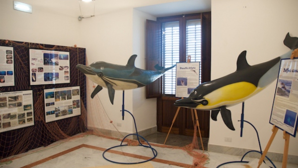 2008 - Rassegna "Comunicare il Mare"